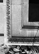 Wall_Art_Alphabet_Photography_Art_ 1212